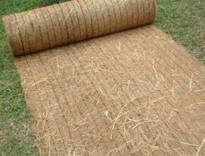 Straw Blanket