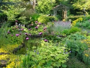 flowershrub-featuredimg