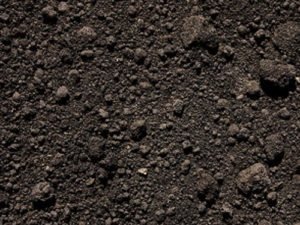 Top Soil
