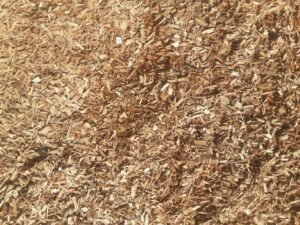 Certified Playground Chips