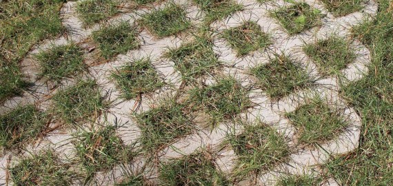 Grass Pavers